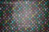 Louis Vuitton Vinyl No.3 (Classical LV Vinyl black rainbow color big letter)